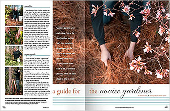 “A Guide for the Novice Gardener”,  March 2013