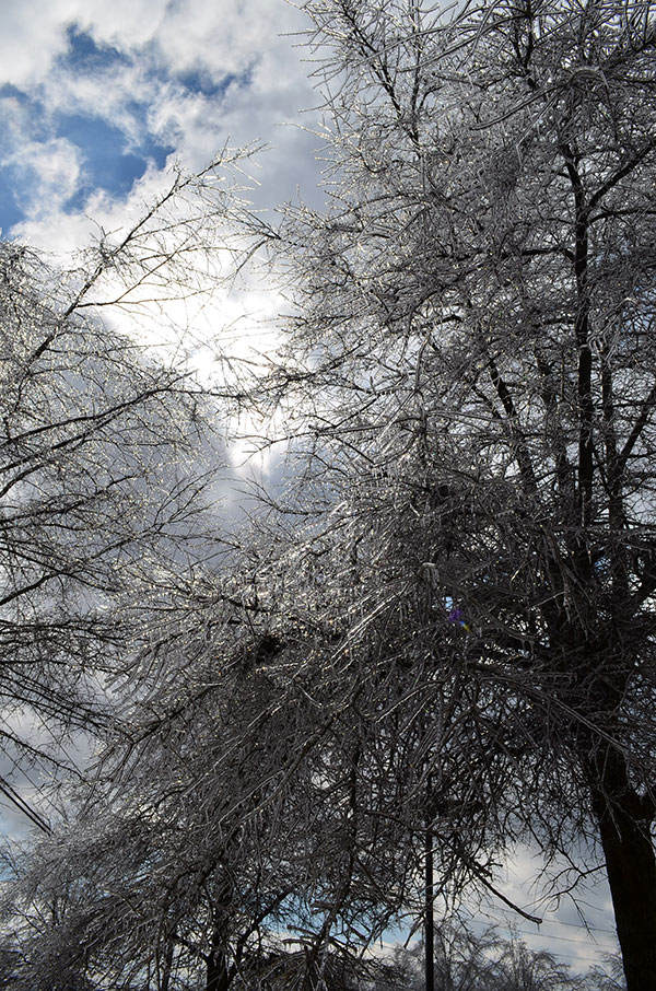 Southern Ice Storm