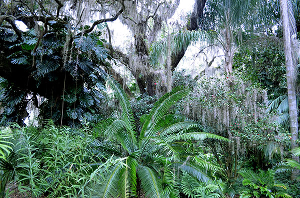 Harry P. Leu Gardens in Orlando, FL