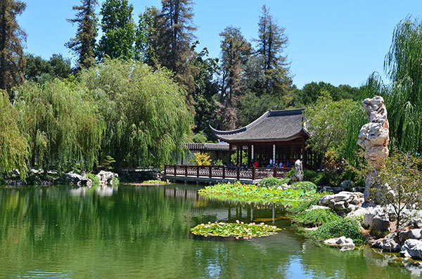 Japanese Garden at The Huntington, Los Angeles
