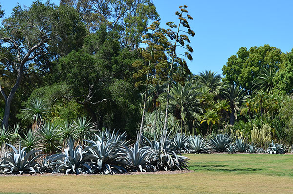 Lotusland, Montecito, CA