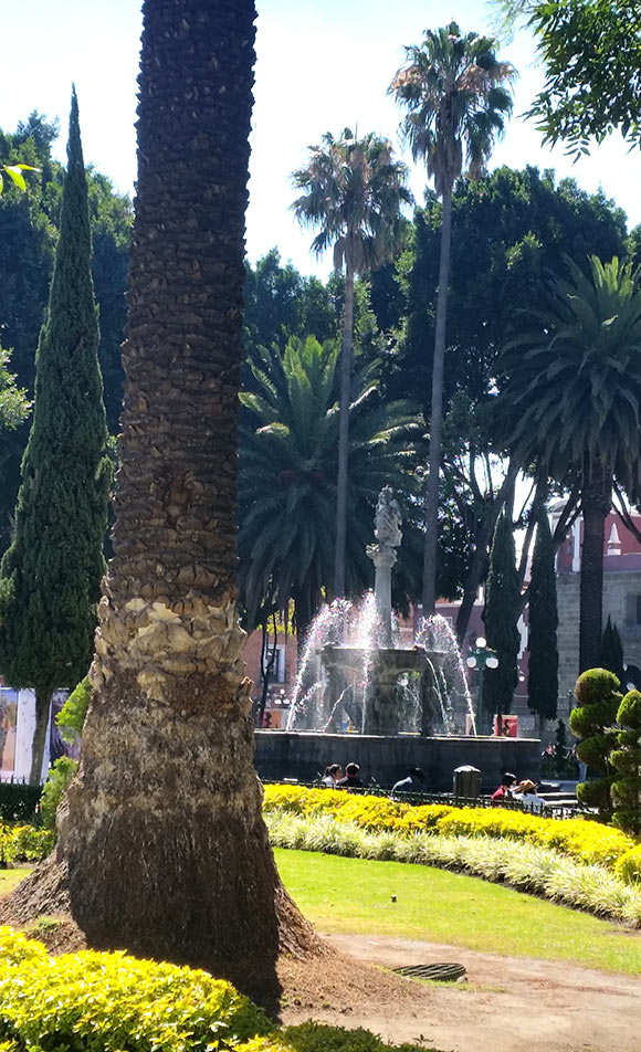 Park and Fountain