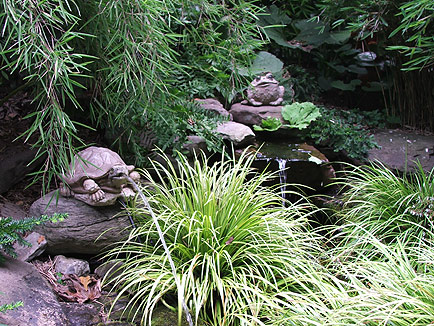 Summer on the upper pond, Woodland Cottage