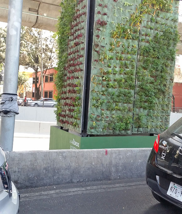 Freeway planters