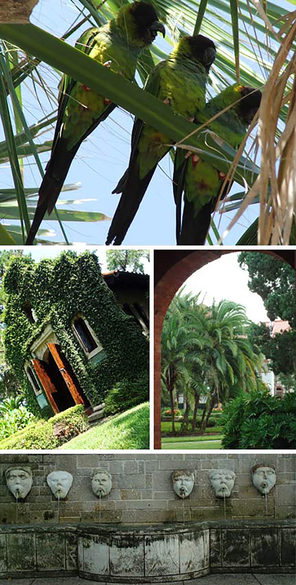 Some of the surprises we discovered on our trip to St. Augustine